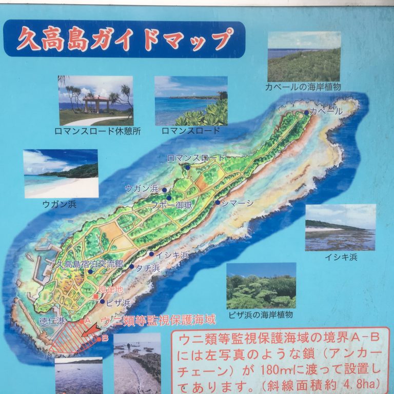 神々の島―沖縄久高島のまつり (1979年)の